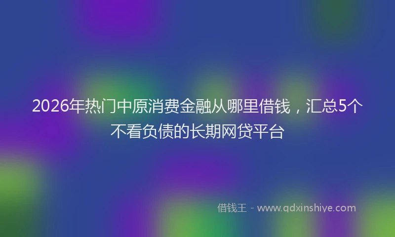 2026年热门中原消费金融从哪里借钱，汇总5个不看负债的长期网贷平台