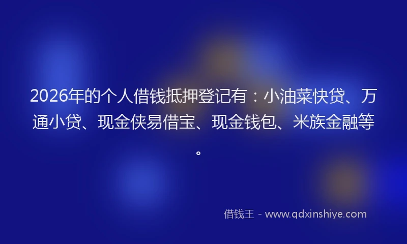 2026年的个人借钱抵押登记有：小油菜快贷、万通小贷、现金侠易借宝、现金钱包、米族金融等。