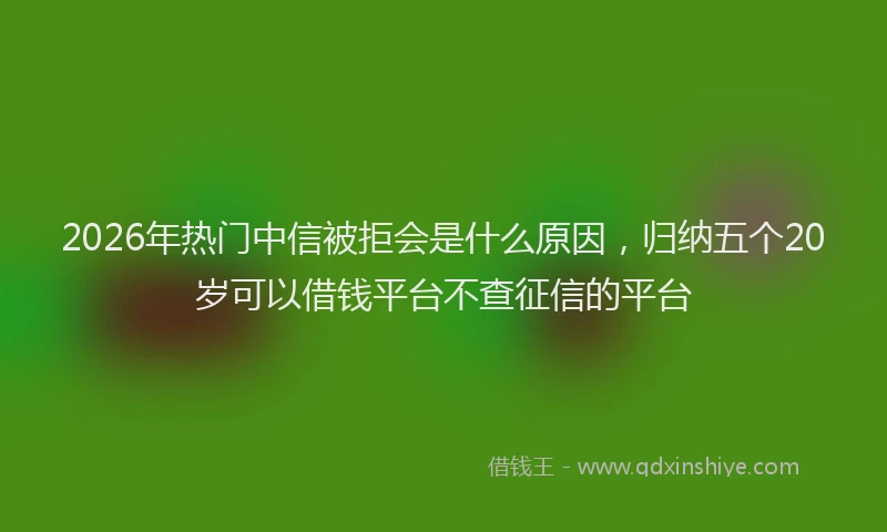 2026年热门中信被拒会是什么原因，归纳五个20岁可以借钱平台不查征信的平台