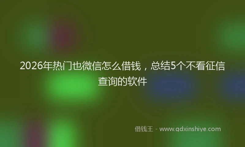 2026年热门也微信怎么借钱，总结5个不看征信查询的软件