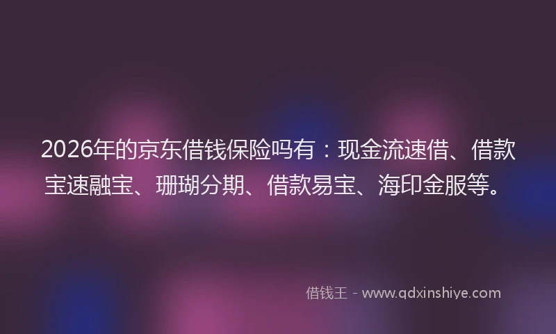 2026年的京东借钱保险吗有：现金流速借、借款宝速融宝、珊瑚分期、借款易宝、海印金服等。