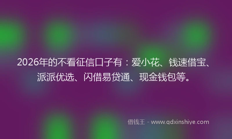 2026年的不看征信口子有：爱小花、钱速借宝、派派优选、闪借易贷通、现金钱包等。