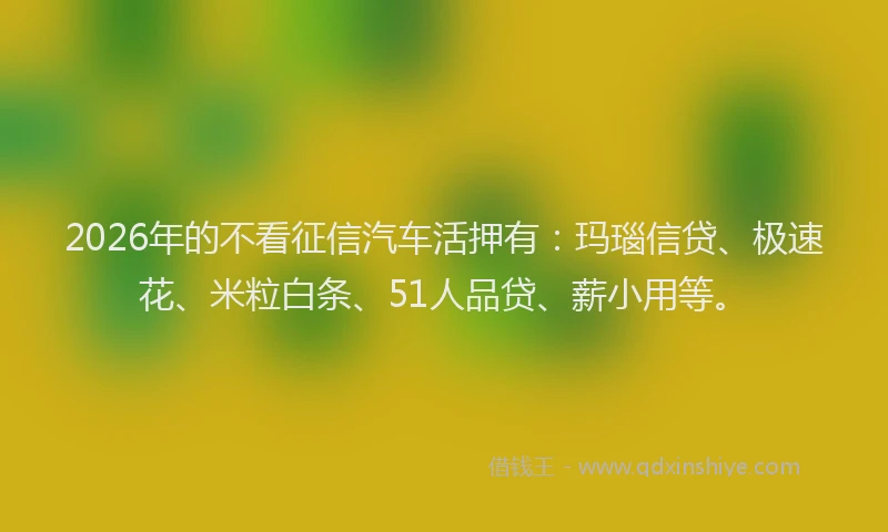 2026年的不看征信汽车活押有：玛瑙信贷、极速花、米粒白条、51人品贷、薪小用等。