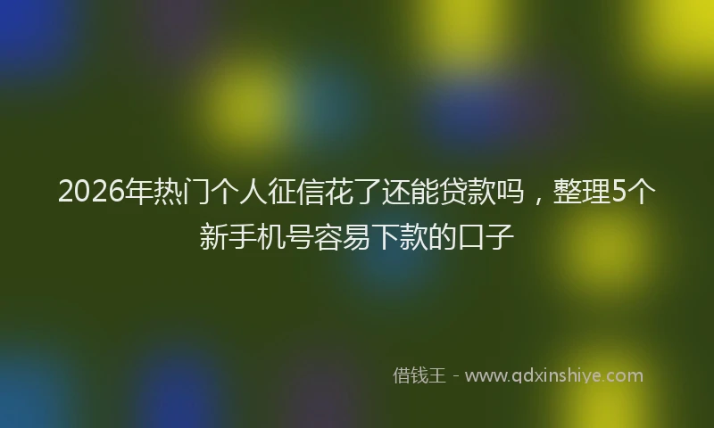 2026年热门个人征信花了还能贷款吗，整理5个新手机号容易下款的口子