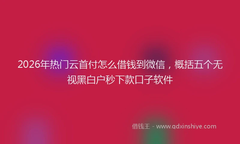 2026年热门云首付怎么借钱到微信，概括五个无视黑白户秒下款口子软件