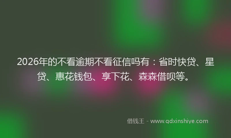 2026年的不看逾期不看征信吗有：省时快贷、星贷、惠花钱包、享下花、森森借呗等。