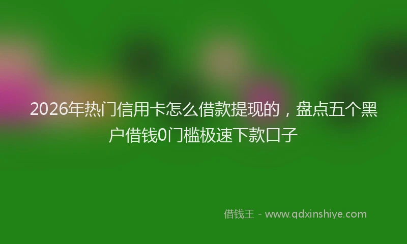2026年热门信用卡怎么借款提现的，盘点五个黑户借钱0门槛极速下款口子