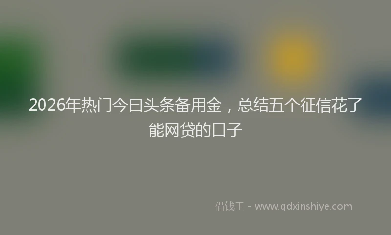 2026年热门今曰头条备用金，总结五个征信花了能网贷的口子