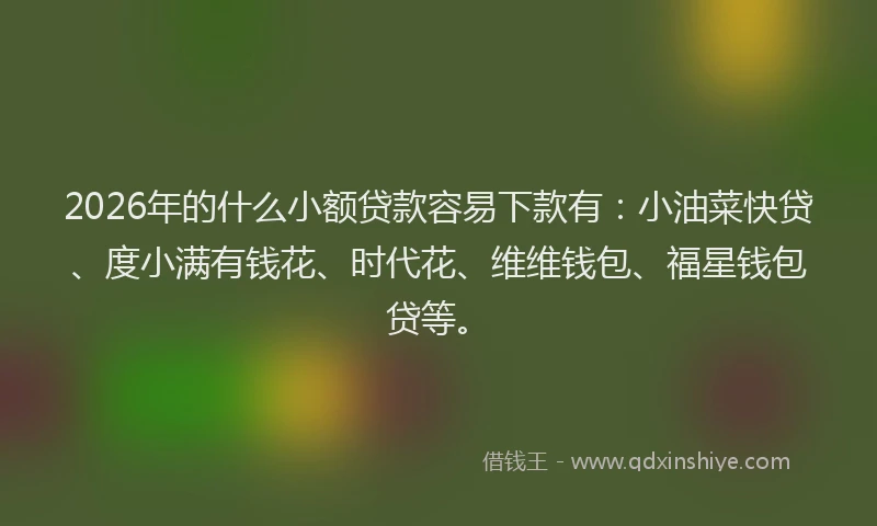 2026年的什么小额贷款容易下款有：小油菜快贷、度小满有钱花、时代花、维维钱包、福星钱包贷等。