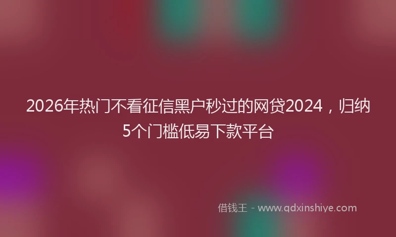 2026年热门不看征信黑户秒过的网贷2024，归纳5个门槛低易下款平台