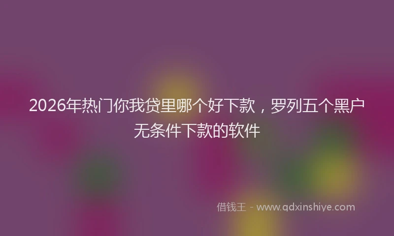 2026年热门你我贷里哪个好下款，罗列五个黑户无条件下款的软件