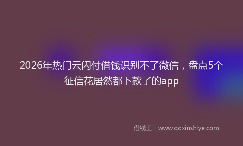 2026年热门云闪付借钱识别不了微信，盘点5个征信花居然都下款了的app