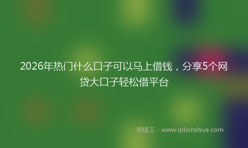 2026年热门什么口子可以马上借钱，分享5个网贷大口子轻松借平台