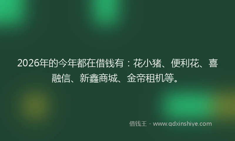 2026年的今年都在借钱有：花小猪、便利花、喜融信、新鑫商城、金帝租机等。