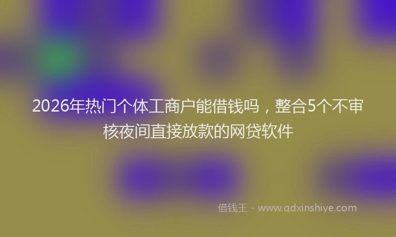 2026年热门个体工商户能借钱吗，整合5个不审核夜间直接放款的网贷软件