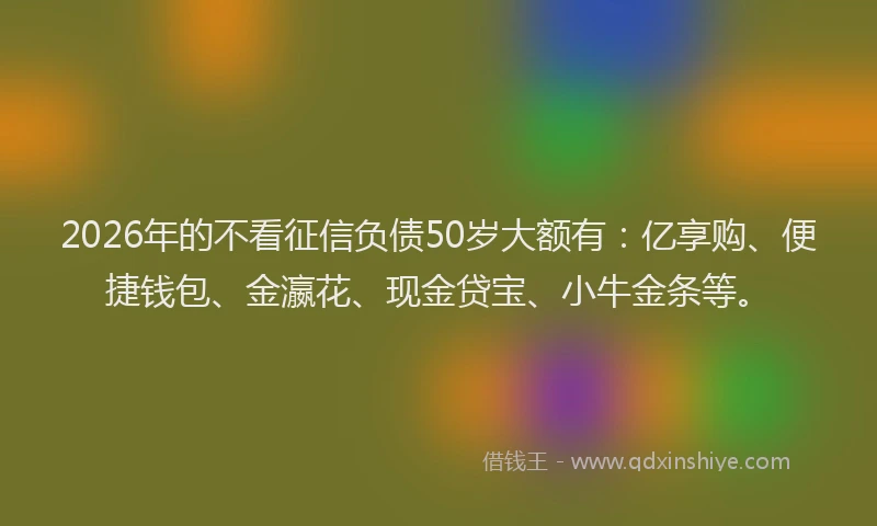2026年的不看征信负债50岁大额有：亿享购、便捷钱包、金瀛花、现金贷宝、小牛金条等。