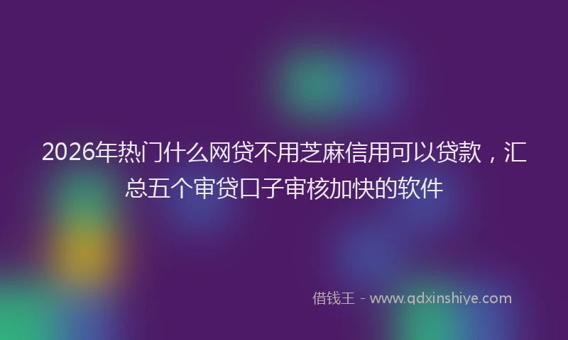 2026年热门什么网贷不用芝麻信用可以贷款，汇总五个审贷口子审核加快的软件