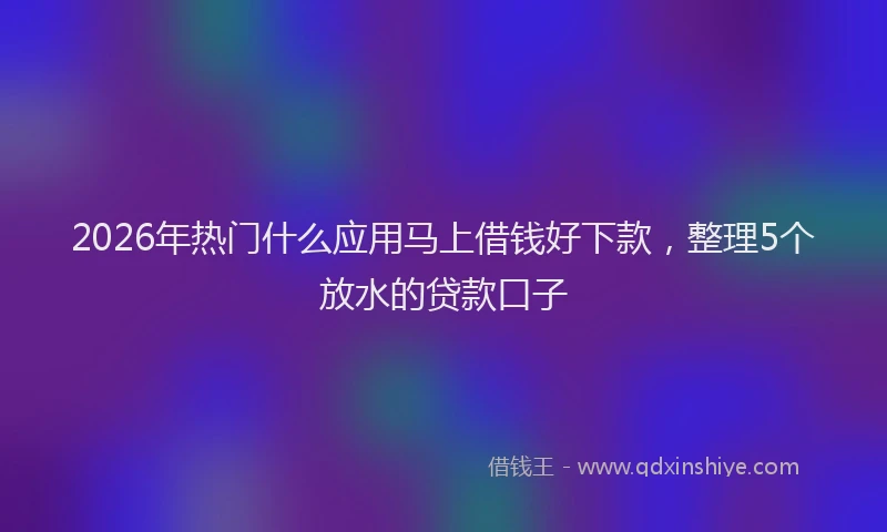 2026年热门什么应用马上借钱好下款，整理5个放水的贷款口子