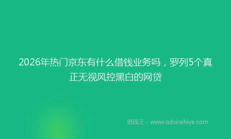 2026年热门京东有什么借钱业务吗，罗列5个真正无视风控黑白的网贷