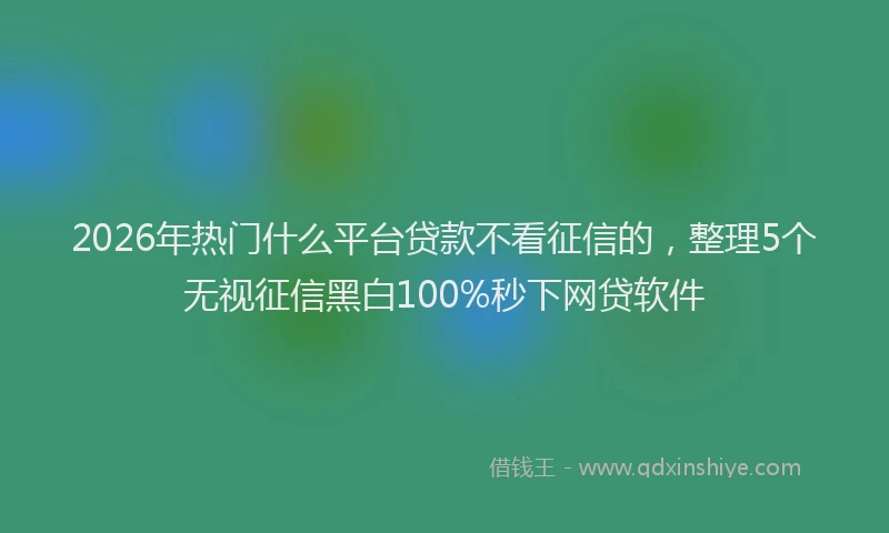 2026年热门什么平台贷款不看征信的，整理5个无视征信黑白100%秒下网贷软件