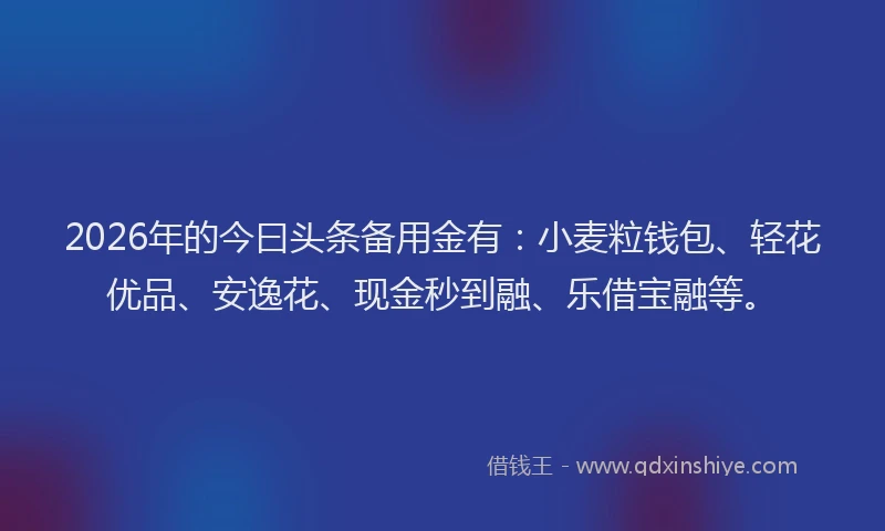 2026年的今曰头条备用金有：小麦粒钱包、轻花优品、安逸花、现金秒到融、乐借宝融等。