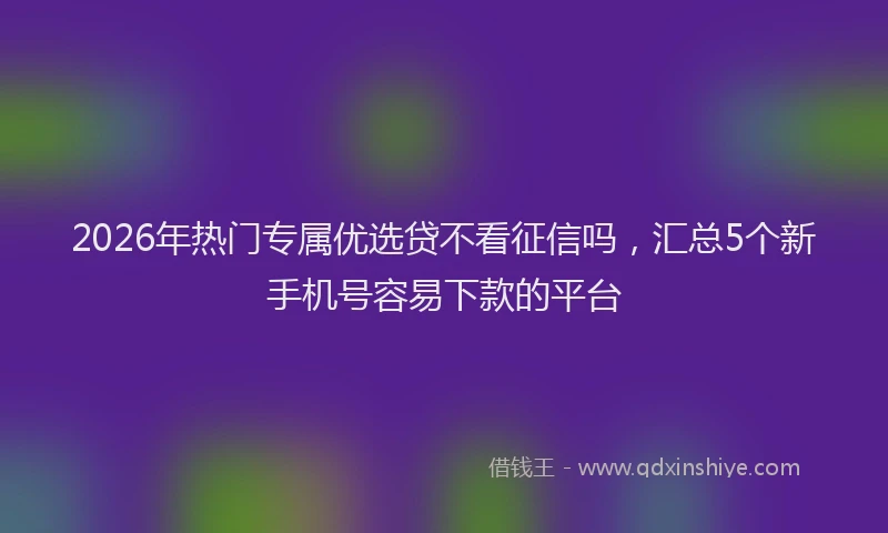 2026年热门专属优选贷不看征信吗，汇总5个新手机号容易下款的平台