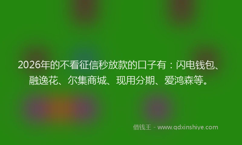 2026年的不看征信秒放款的口子有：闪电钱包、融逸花、尔集商城、现用分期、爱鸿森等。