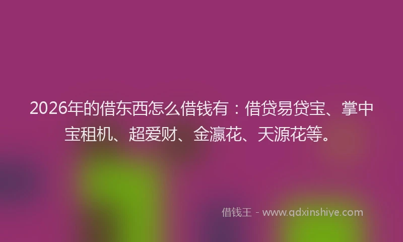 2026年的借东西怎么借钱有：借贷易贷宝、掌中宝租机、超爱财、金瀛花、天源花等。