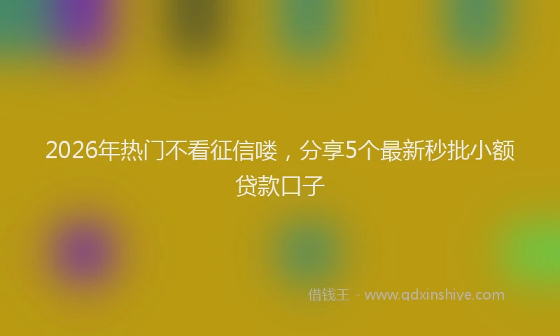 2026年热门不看征信喽，分享5个最新秒批小额贷款口子