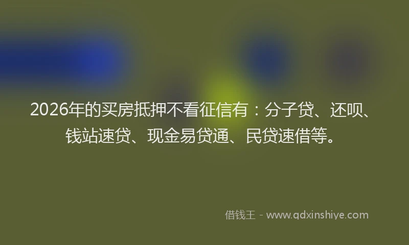 2026年的买房抵押不看征信有：分子贷、还呗、钱站速贷、现金易贷通、民贷速借等。