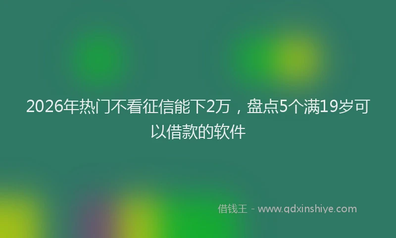 2026年热门不看征信能下2万，盘点5个满19岁可以借款的软件
