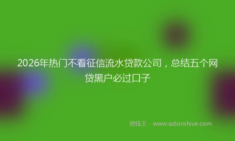 2026年热门不看征信流水贷款公司，总结五个网贷黑户必过口子