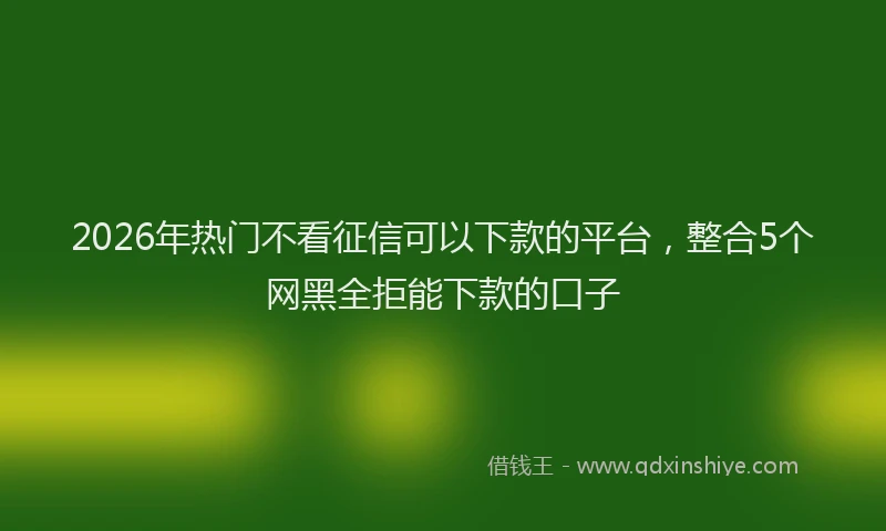 2026年热门不看征信可以下款的平台，整合5个网黑全拒能下款的口子