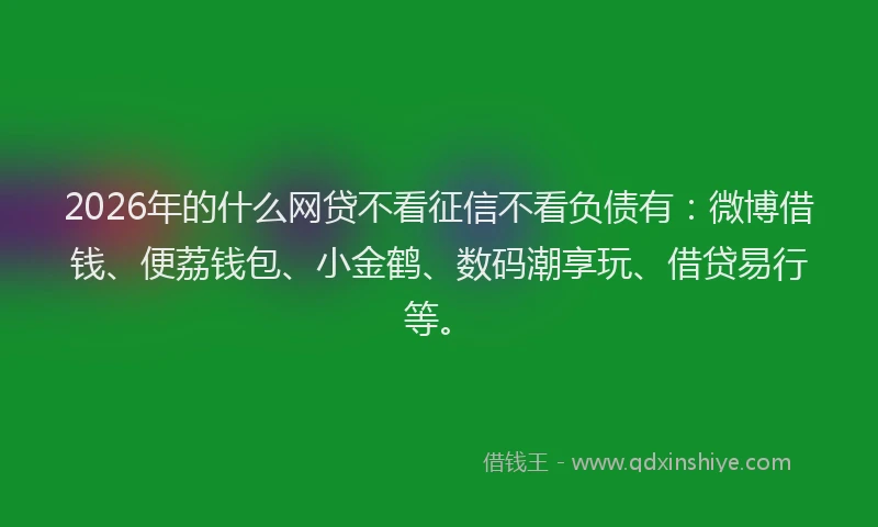 2026年的什么网贷不看征信不看负债有：微博借钱、便荔钱包、小金鹤、数码潮享玩、借贷易行等。