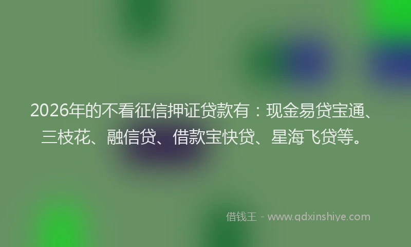 2026年的不看征信押证贷款有：现金易贷宝通、三枝花、融信贷、借款宝快贷、星海飞贷等。