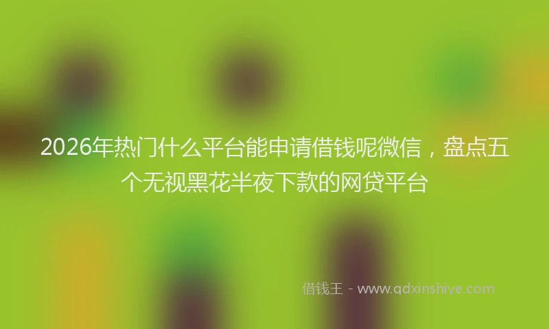 2026年热门什么平台能申请借钱呢微信，盘点五个无视黑花半夜下款的网贷平台