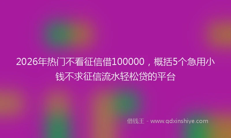 2026年热门不看征信借100000，概括5个急用小钱不求征信流水轻松贷的平台