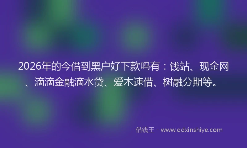 2026年的今借到黑户好下款吗有：钱站、现金网、滴滴金融滴水贷、爱木速借、树融分期等。
