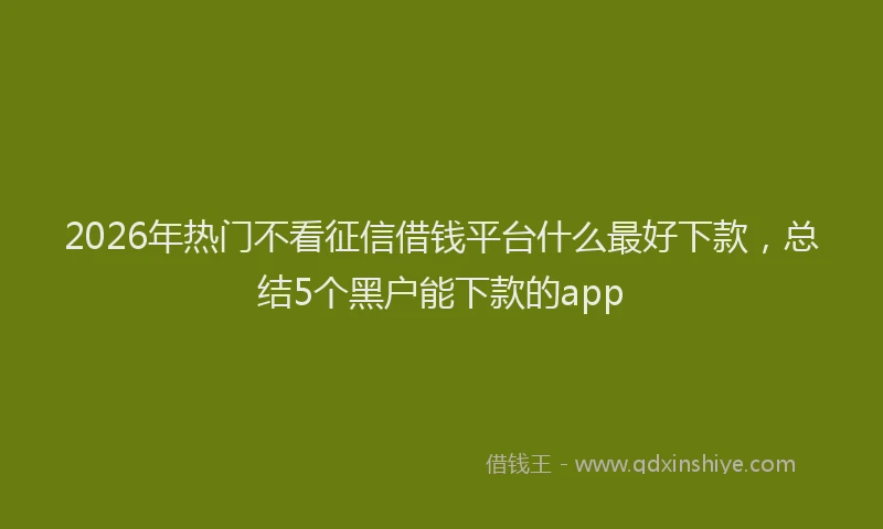2026年热门不看征信借钱平台什么最好下款，总结5个黑户能下款的app