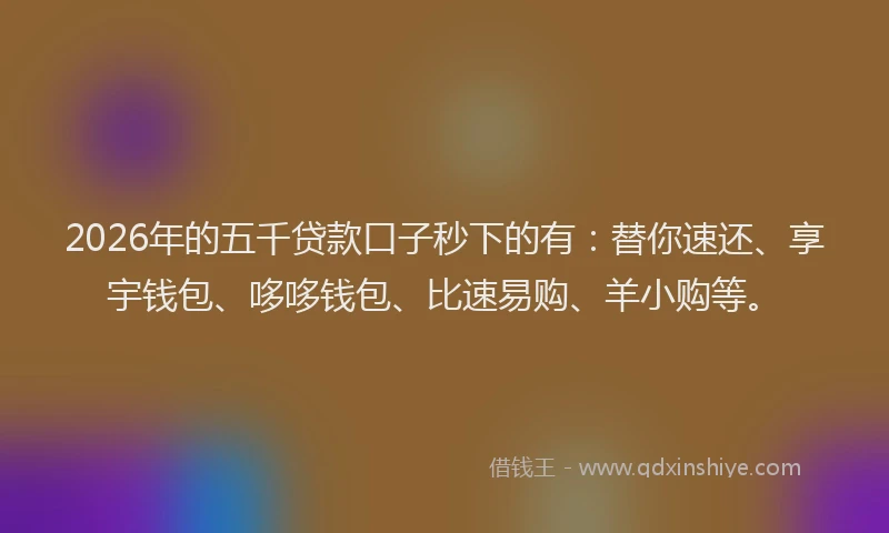 2026年的五千贷款口子秒下的有：替你速还、享宇钱包、哆哆钱包、比速易购、羊小购等。