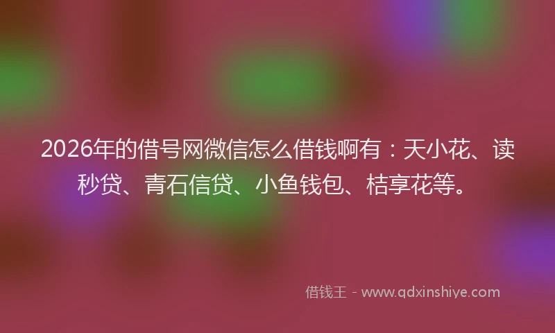 2026年的借号网微信怎么借钱啊有：天小花、读秒贷、青石信贷、小鱼钱包、桔享花等。