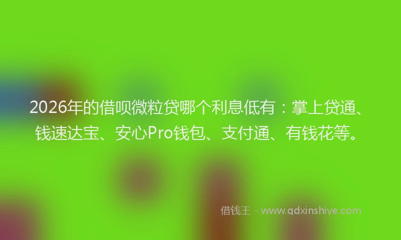 2026年的借呗微粒贷哪个利息低有：掌上贷通、钱速达宝、安心Pro钱包、支付通、有钱花等。