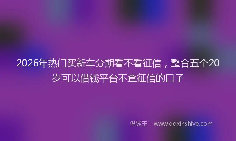 2026年热门买新车分期看不看征信，整合五个20岁可以借钱平台不查征信的口子