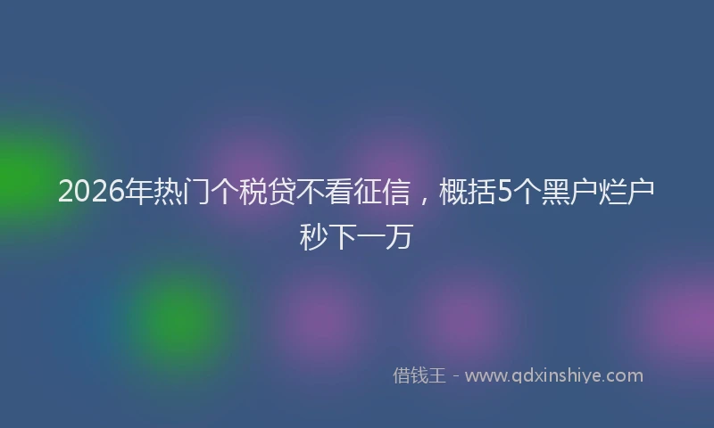 2026年热门个税贷不看征信，概括5个黑户烂户秒下一万