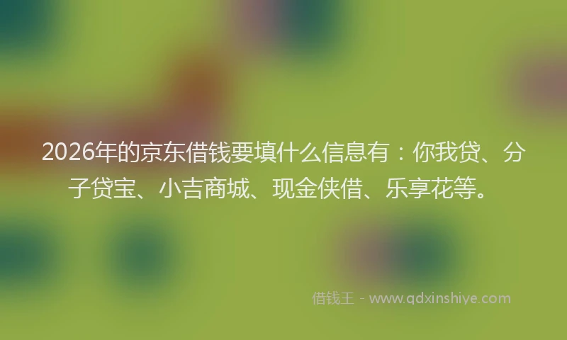 2026年的京东借钱要填什么信息有：你我贷、分子贷宝、小吉商城、现金侠借、乐享花等。