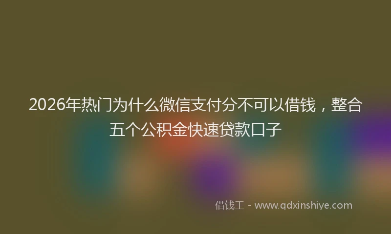 2026年热门为什么微信支付分不可以借钱，整合五个公积金快速贷款口子