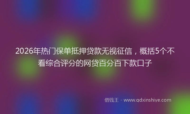 2026年热门保单抵押贷款无视征信，概括5个不看综合评分的网贷百分百下款口子