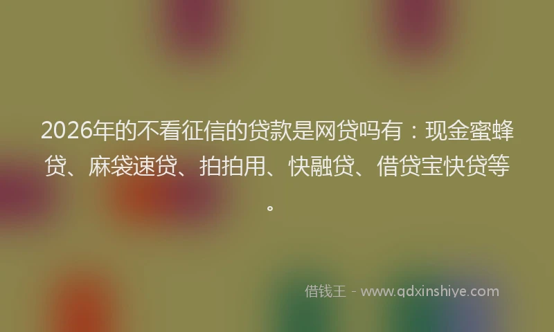 2026年的不看征信的贷款是网贷吗有：现金蜜蜂贷、麻袋速贷、拍拍用、快融贷、借贷宝快贷等。