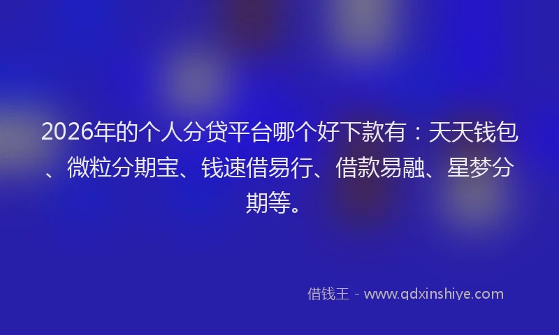 2026年的个人分贷平台哪个好下款有：天天钱包、微粒分期宝、钱速借易行、借款易融、星梦分期等。