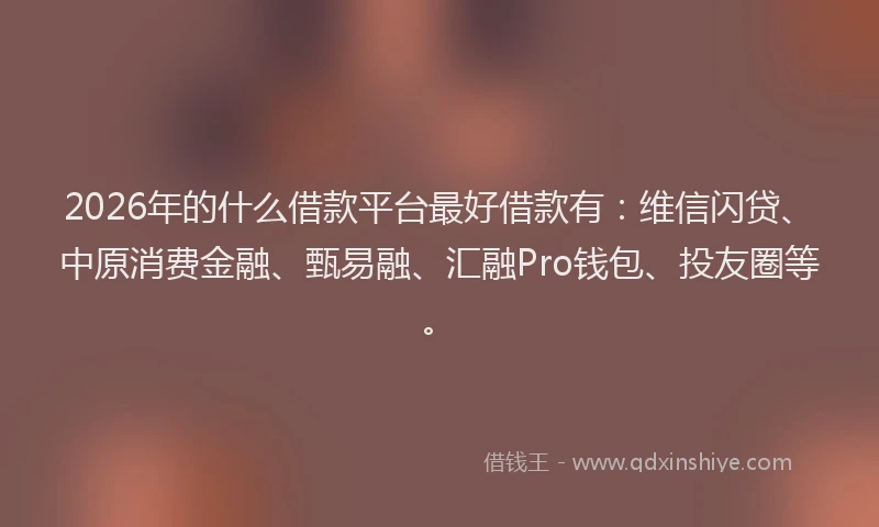 2026年的什么借款平台最好借款有：维信闪贷、中原消费金融、甄易融、汇融Pro钱包、投友圈等。